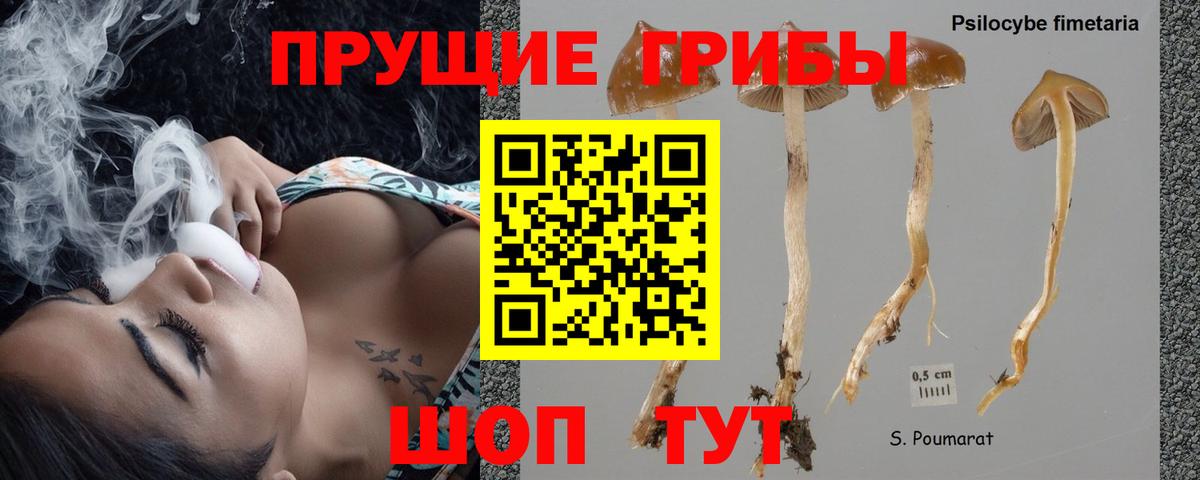 Галлюциногенные грибы GOLDEN TEACHER  Вход с VPN  Дзержинск 