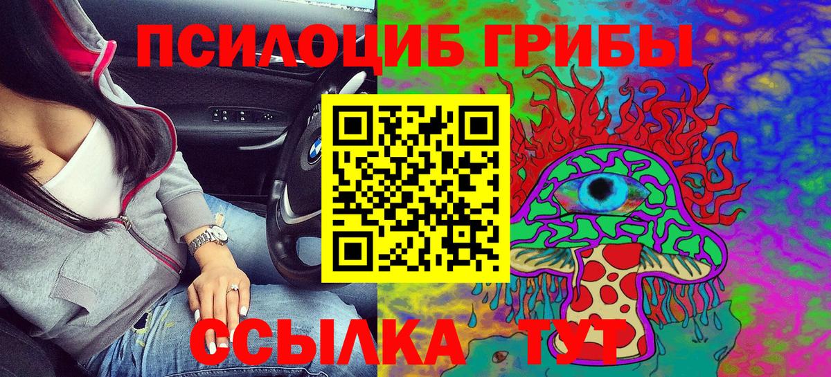 Псилоцибиновые грибы Psilocybine cubensis Дзержинск